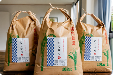 お米の仕分け